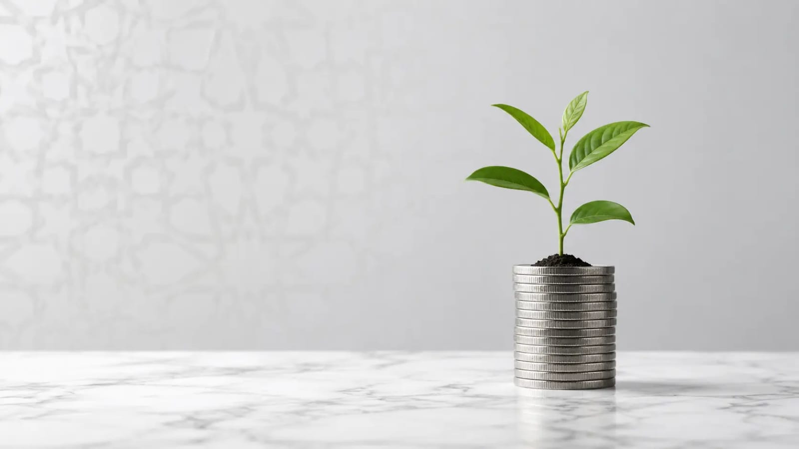 Gatehouse Bank review - a green plant growing on stacked coins representing Sharia-compliant Halal savings and ethical wealth growth in the UK.